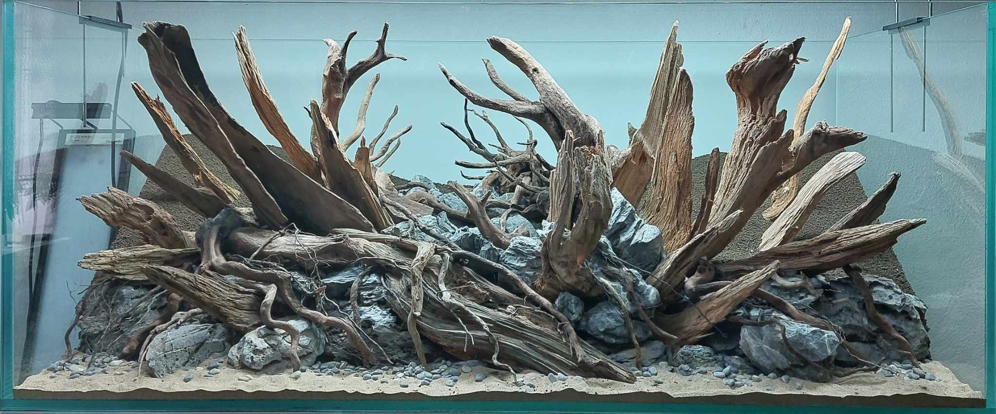 hardscape
